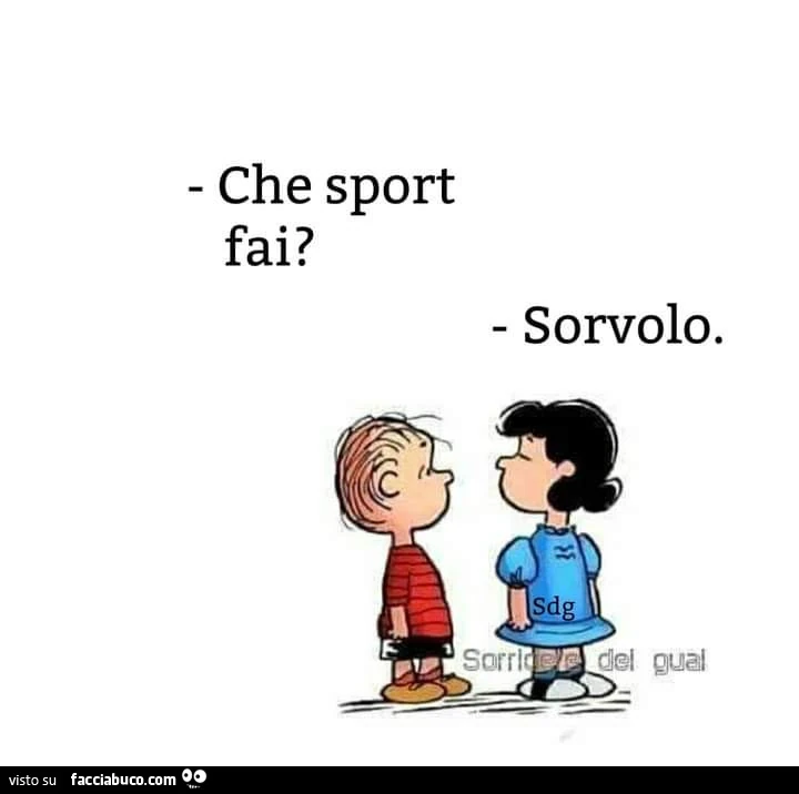 Che sport fai? Sorvolo