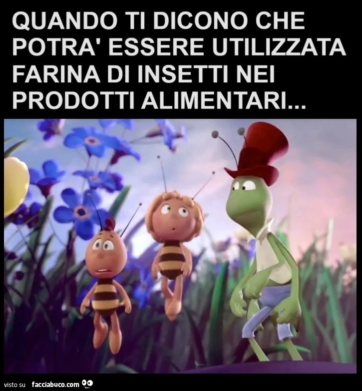 Vaccata