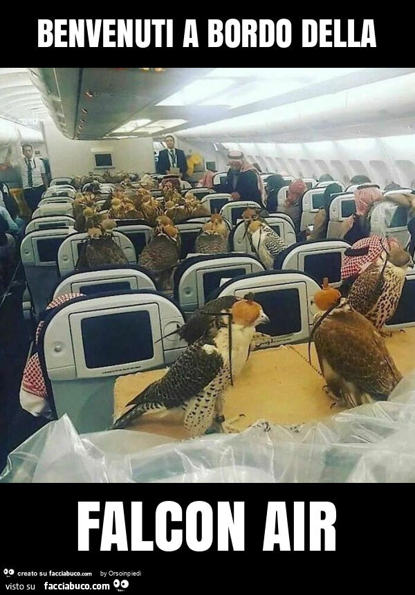 Benvenuti a bordo della falcon air