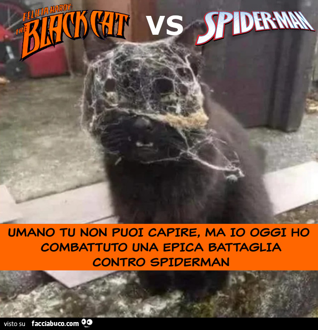 BLACK CAT VS SPIDERMAN
