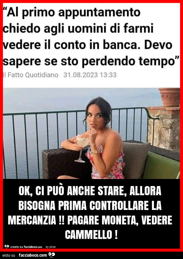 Ok, ci può anche stare, allora bisogna prima controllare la mercanzia! Pagare moneta, vedere cammello