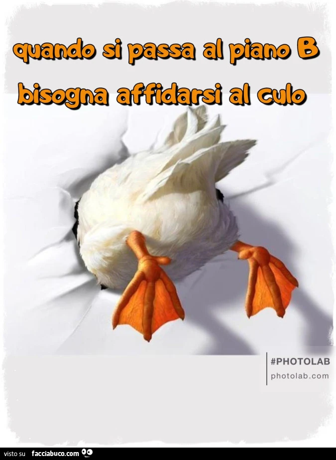 Quando si passa al piano B bisogna affidarsi al culo