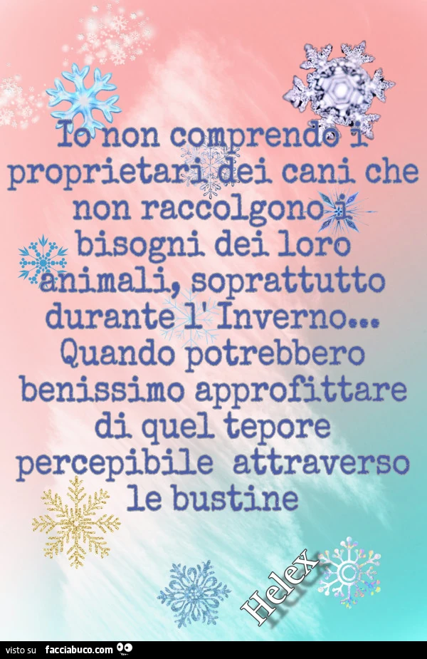 Io non comprendo i proprietari dei cani