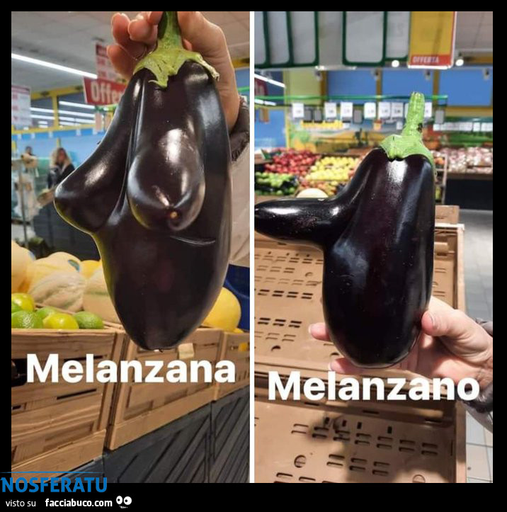 Melanzana VS Melanzano