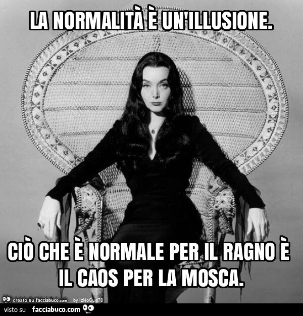 La normalità è un'illusione. Ciò che è normale per il ragno è il caos per la mosca
