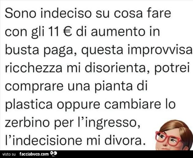Sono indeciso su cosa fare con gli 11 € di aumento in busta paga, questa improvvisa ricchezza mi disorienta