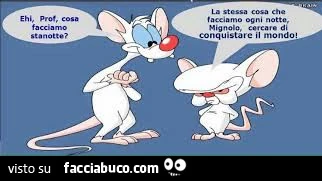Vaccata