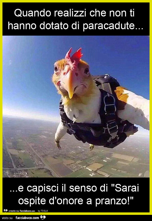 Quando realizzi che non ti hanno dotato di paracadute… e capisci il senso di "sarai ospite d'onore a pranzo! "