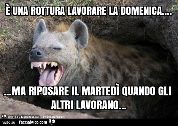 È una rottura lavorare la domenica&hellip; ma riposare il martedì quando gli altri lavorano