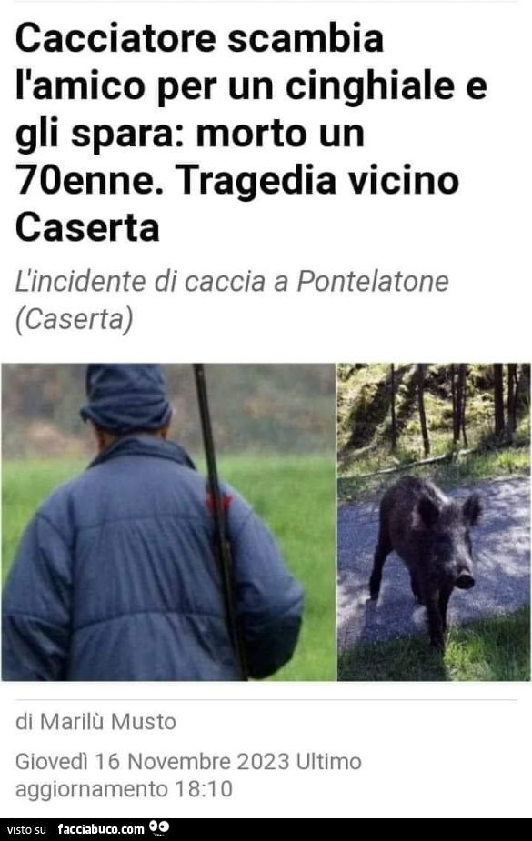 Vaccata