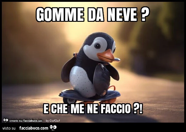 Gomme da neve? E che me ne faccio?