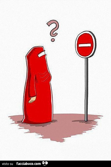 Burka divieto d'accesso