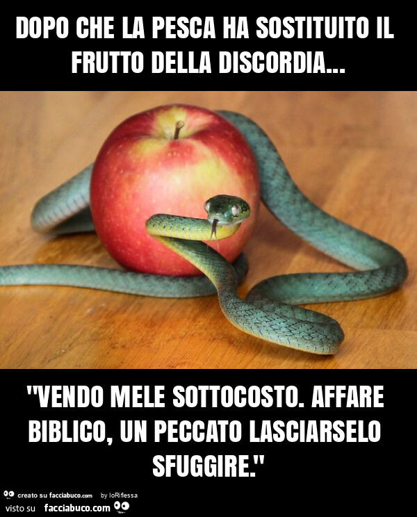 Dopo che la pesca ha sostituito il frutto della discordia… "vendo mele sottocosto. Affare biblico, un peccato lasciarselo sfuggire. "