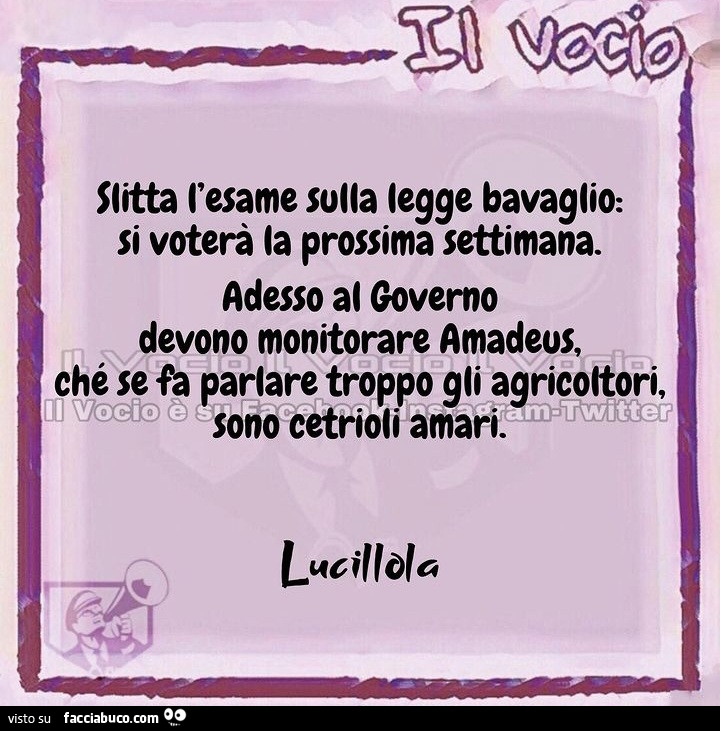 Vaccata