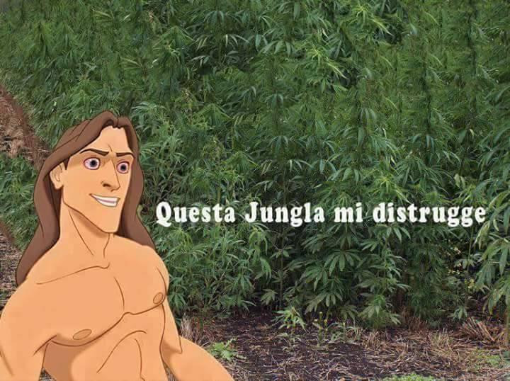 Tarzan e la giungla di maria