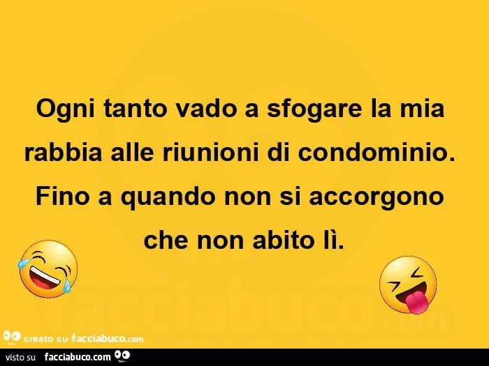 Ogni tanto vado a sfogare la mia rabbia alle riunioni di condominio. Fino a quando non si accorgono che non abito lì