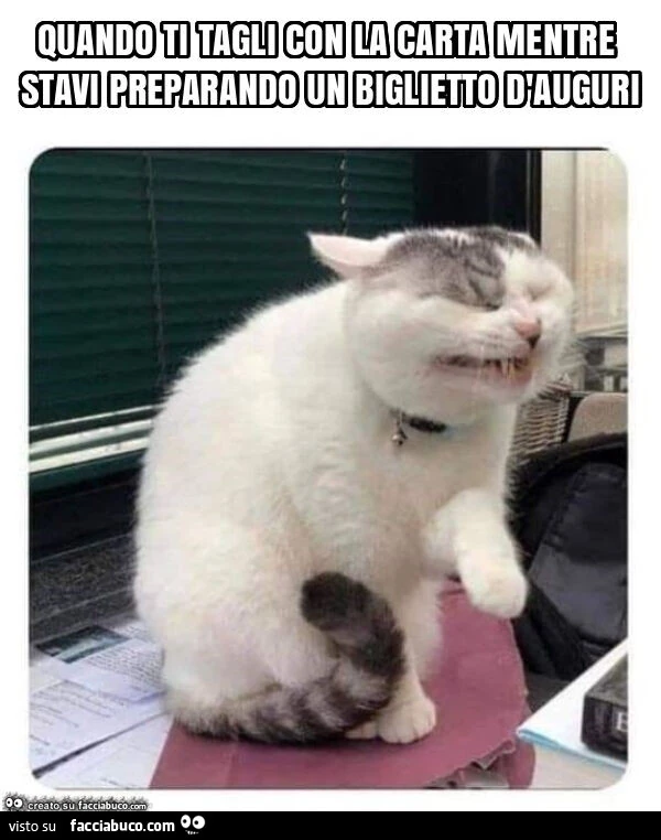 Quando ti tagli con la carta mentre stavi preparando un biglietto d'auguri