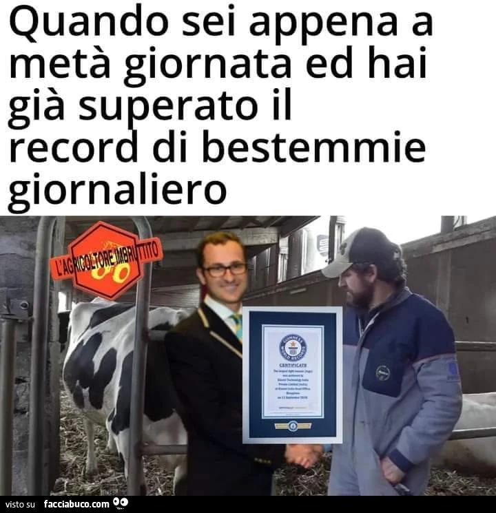 Vaccata