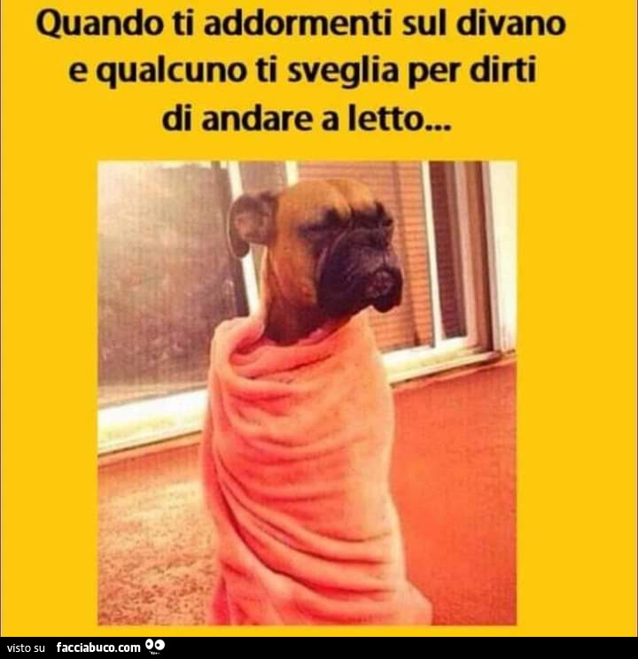 Quando ti addormenti sul divano e qualcuno ti sveglia per dirti di andare a letto
