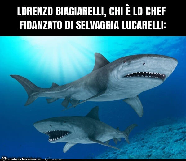 Lorenzo biagiarelli, chi è lo chef fidanzato di selvaggia lucarelli