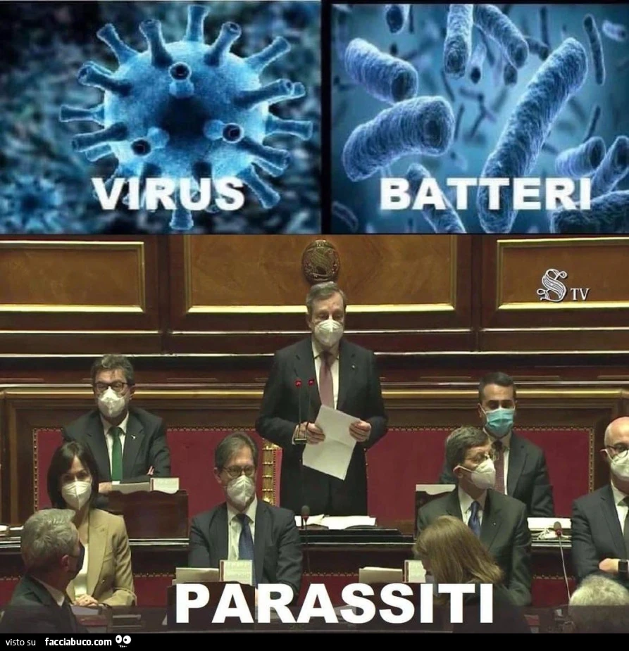 Vaccata