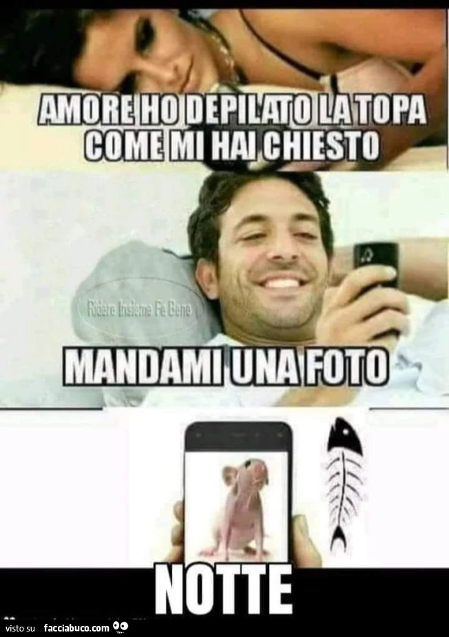 Vaccata