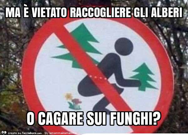 Ma è vietato raccogliere gli alberi o cagare sui funghi?