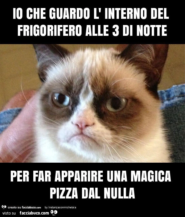 Io che guardo l' interno del frigorifero alle 3 di notte per far apparire una magica pizza dal nulla
