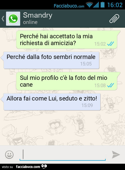 Perché hai accettato la mia richiesta di amicizia? Perché dalla foto sembri normale. Sul mio profilo c'è la foto del mio cane. Allora fai come Lui, seduto e zitto