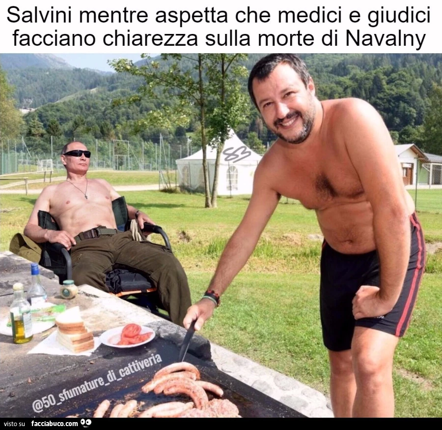 Salvini Putin Navalny grigliata