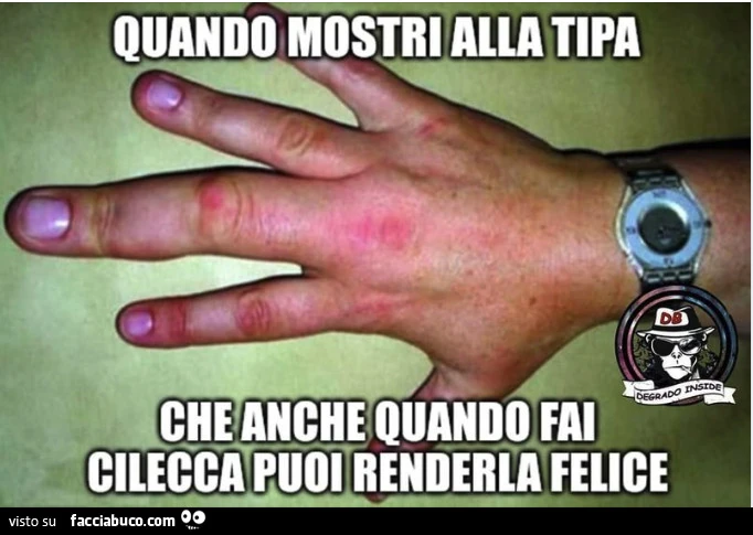 Vaccata