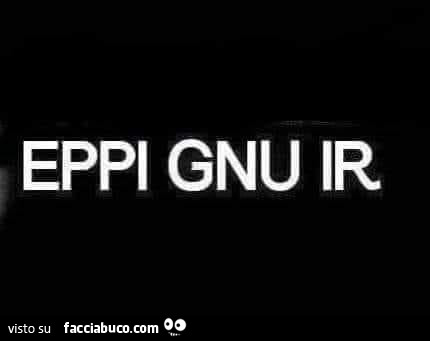 Eppi gnu ir