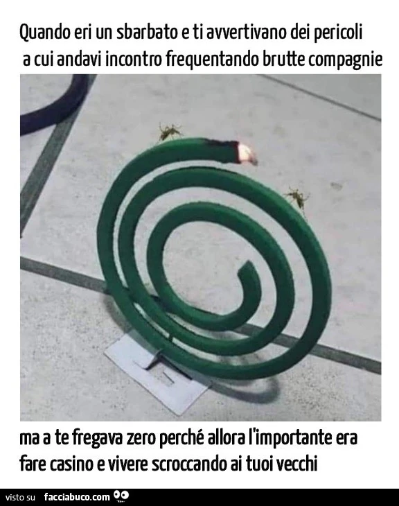 Vaccata