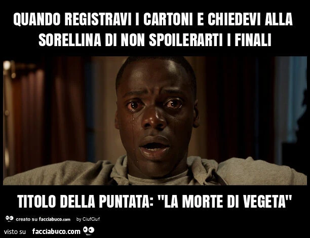 Quando registravi i cartoni e chiedevi alla sorellina di non spoilerarti i finali titolo della puntata: "la morte di vegeta"
