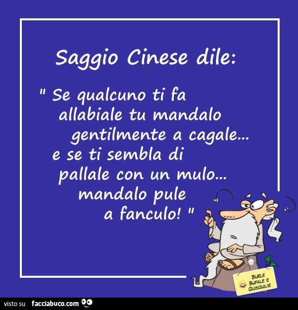 Saggio cinese dile: se qualcuno ti fa allabiale tu mandalo gentilmente a cagale… e se ti sembla di pallale con un mulo… mandalo pule a fanculo