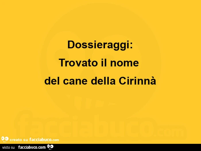 Dossieraggi: trovato il nome del cane della cirinnà