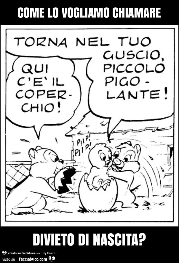Come lo vogliamo chiamare divieto di nascita?