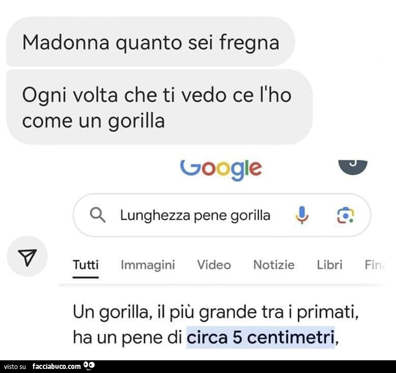 Madonna quanto sei fregna ogni volta che ti vedo ce l'ho come un gorilla. Lunghezza pene gorilla di circa 5 centimetri