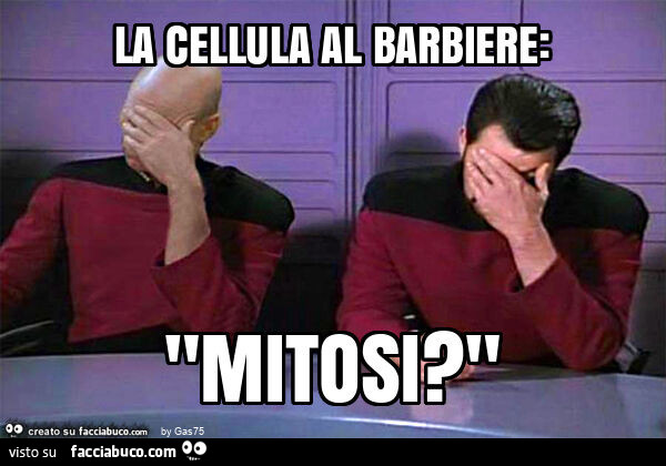 La cellula al barbiere: "mitosi? "