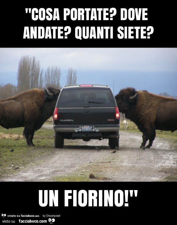"cosa portate? Dove andate? Quanti siete? Un fiorino! "
