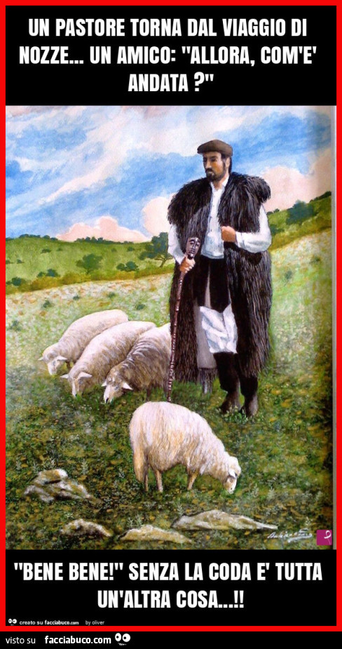 Un pastore torna dal viaggio di nozze… un amico: "allora, com'è andata? " "Bene bene! " Senza la coda è tutta un'altra cosa