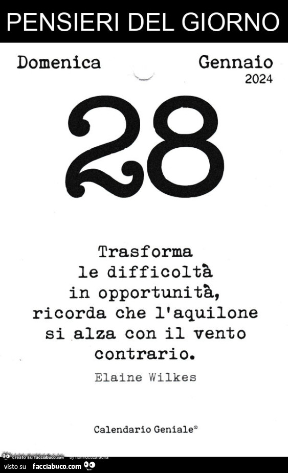 Pensieri del giorno. Trasforma le difficoltà in opportunità, ricorda che l'aquilone si alza con il vento contrario. Elaine Wilkes