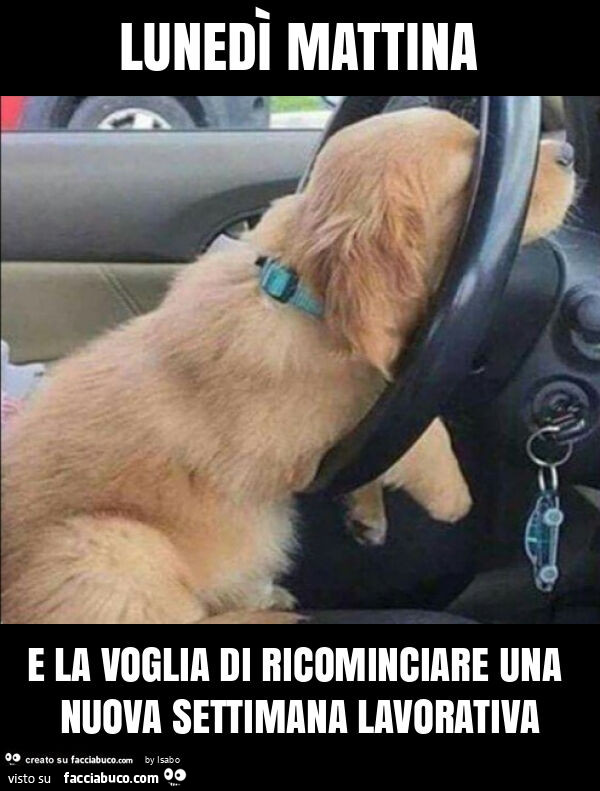 Lunedì mattina e la voglia di ricominciare una nuova settimana lavorativa