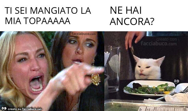 Ti sei mangiato la mia topaaaaa. Ne hai ancora?