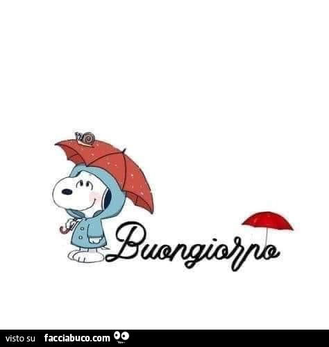 Buongiorno da snoopy sotto la pioggia