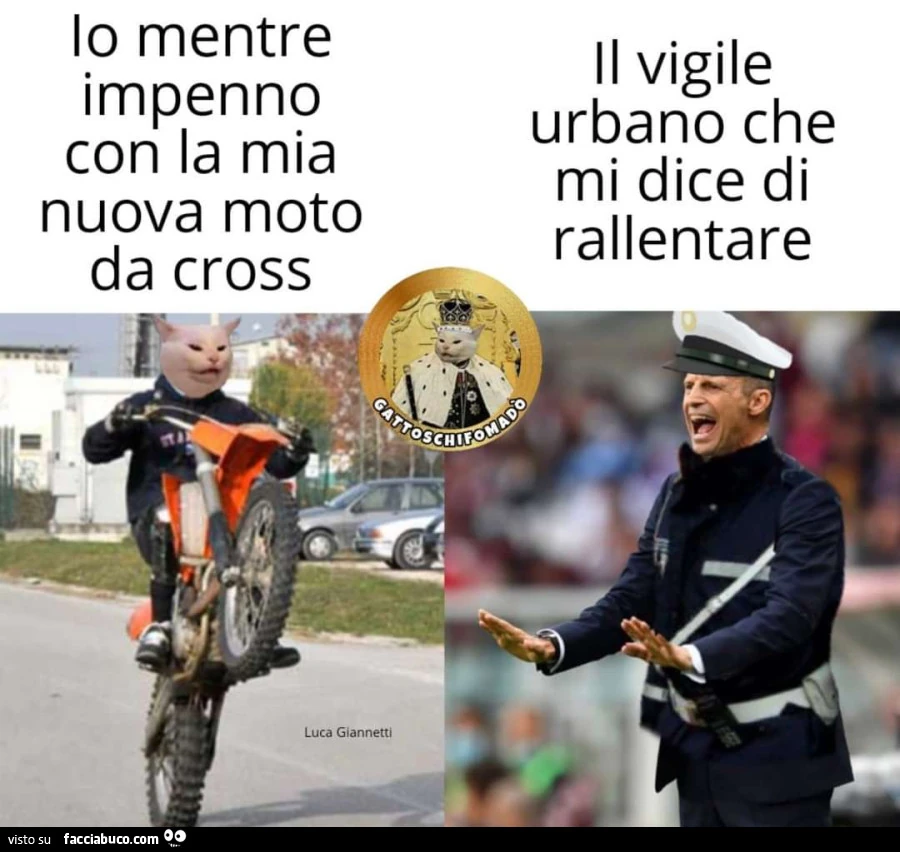 Vaccata