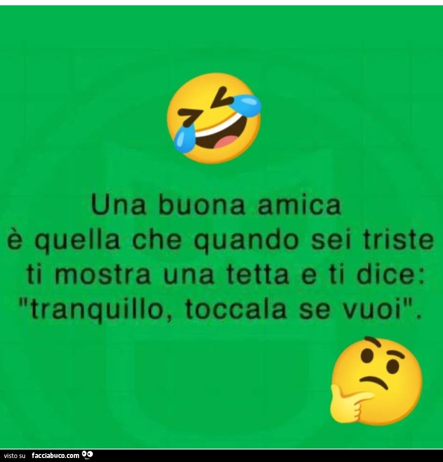 Una buona amica è quella che quando sei triste ti mostra una tetta e ti dice: tranquillo, toccala se vuoi