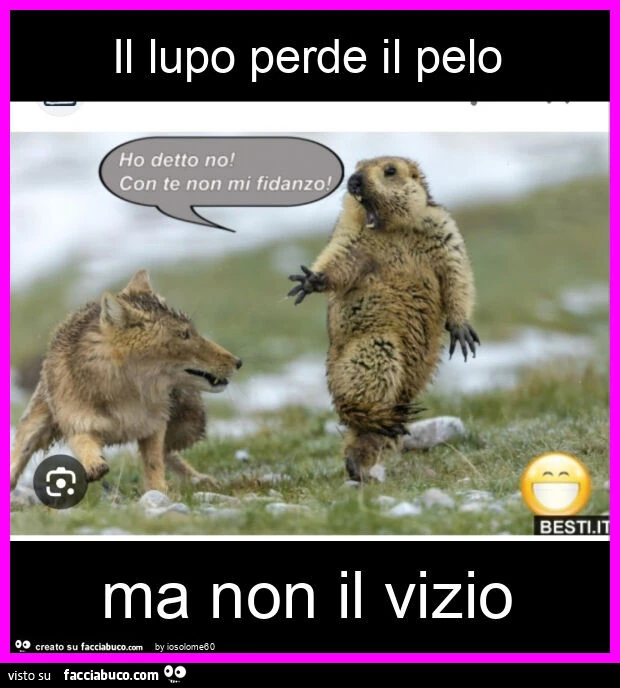Il lupo perde il pelo ma non il vizio