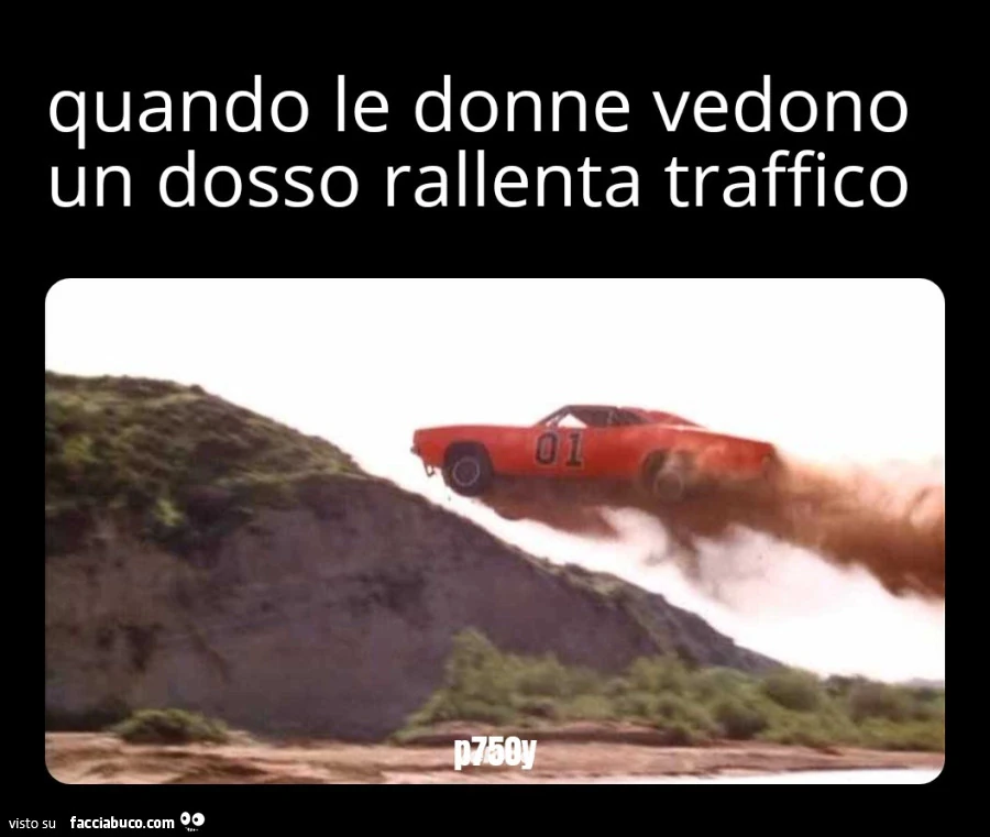 Donne al volante hazzard generale Lee
