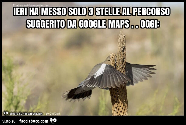 Ieri ha messo solo 3 stelle al percorso suggerito da google maps. Oggi
